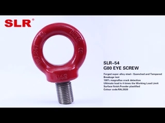 SLR054-G80 EYE SCREW