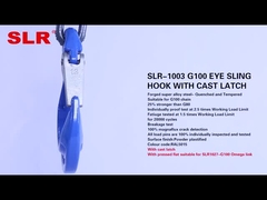 SLR1003-G100 EYE SLIP HOOK WITH CAST LATCH