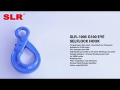 SLR1005-G100 EYE SELFLOCK HOOK